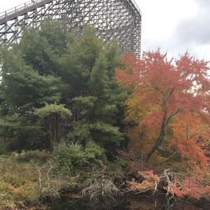 Meet your Posher, Joyce